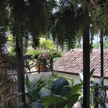 Apartment Günstige Zur Straße Icod De Los Vinos