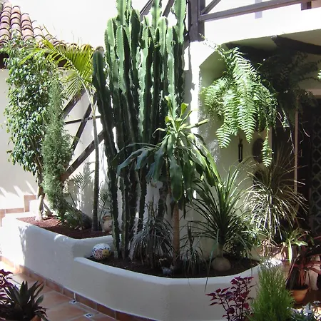 Günstige Zur Straße *